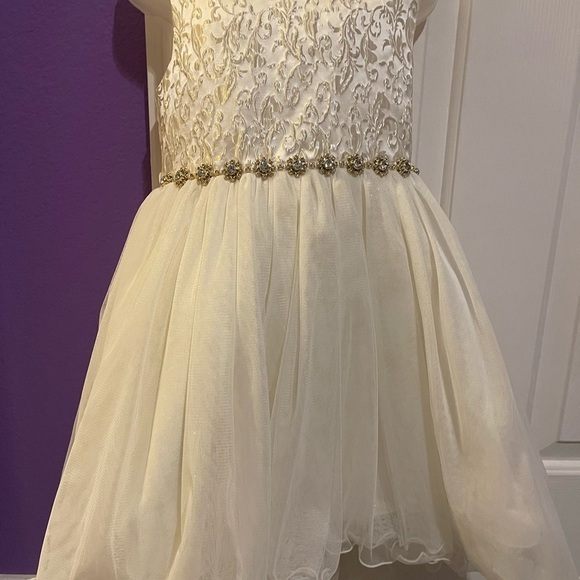 Couture princess silk and net fancy dress size 6x - Picture 5 of 7